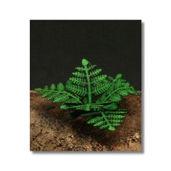 Green-Line GL-053 - Fern 1:35